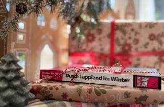 Stimmungsvolles Weihnachtsfoto mit dem Reiseführer Durch Lappland im Winter