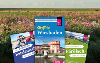 Shelfie Kauderwelsch Katalanisch, Reiseführer CityTrip Wiesbaden und Kauderwelsch Färöisch